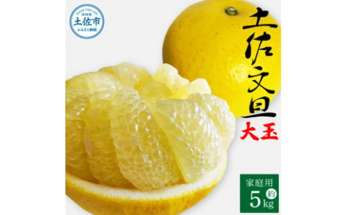【先行予約】土佐文旦 大玉 家庭用 約5kg（2L～4Lサイズ混合：8玉～12玉） 先行予約 数量限定 文旦 ぶんたん ブンタン 5キロ 柑橘 フルーツ 果物 ご当地 お取り寄せ 土佐 高知＜2027年1月中旬～順次発送＞【玉木農園】