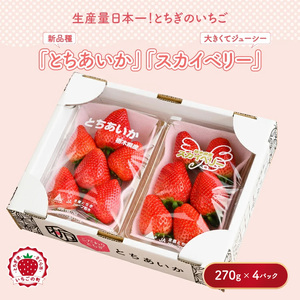 いちご とちあいか・スカイベリーセット 270g×4パック※2026年1月上旬～4月中旬頃に順次発送予定