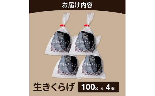 国産 生 きくらげ 400g ( 100g×4個 )  大地のきくらげ | 木耳 キクラゲ 生 きのこ 肉厚 ぷりぷり コリコリ 瑞々しい 希少 産地直送 国産きくらげ お取り寄せ グルメ 新鮮 鮮度 中華料理 食材 野菜 大地工房 株式会社PEC 埼玉県 桶川市
