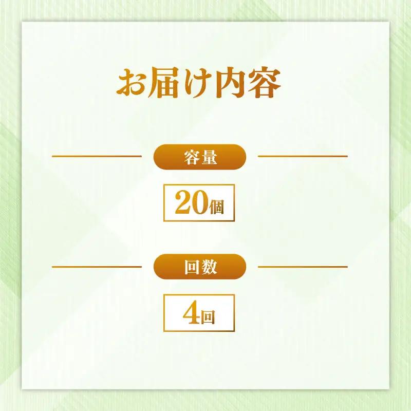 定期便 パックごはん 白米 20個×4回