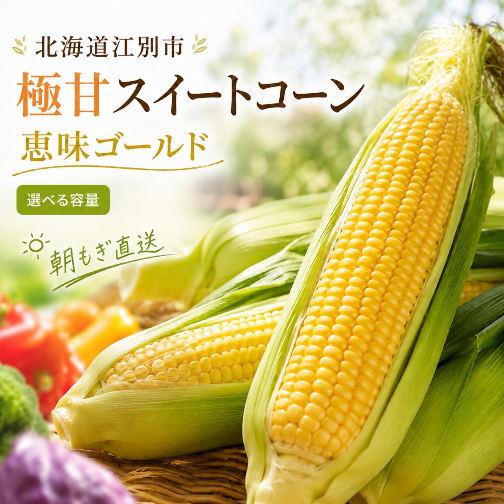 【ふるさと納税】＼選べる容量／朝もぎ直送｜北海道江別産AmbitiousFarm　極甘スイートコーン　"恵味ゴールド"　1箱（6本）2箱（12本）3箱（18本）【2026年7月下旬より発送開始】 EB8-0152var