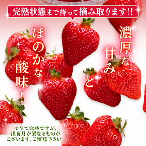 【3月下旬発送】あまおう 1.1kg | あまおう いちご DNK