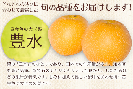 旬の梨 あきづき 豊水 凛夏 のいずれかをお届けします！ 荒尾梨 約3kg (4～8玉前後) 熊本県荒尾市産 高口果樹園《8月下旬-10月中旬頃出荷》フルーツ 果物