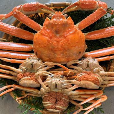 ふるさと納税 岩美町 鳥取網代港【訳あり】浜茹で!松葉ガニ1枚(900g以上)・セコガニ3枚セット【さかなや新鮮組】 |  | 01