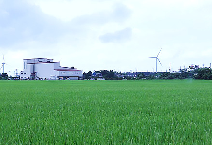 23-K53R5【3ヶ月連続お届け】新潟県中条産コシヒカリ5kg