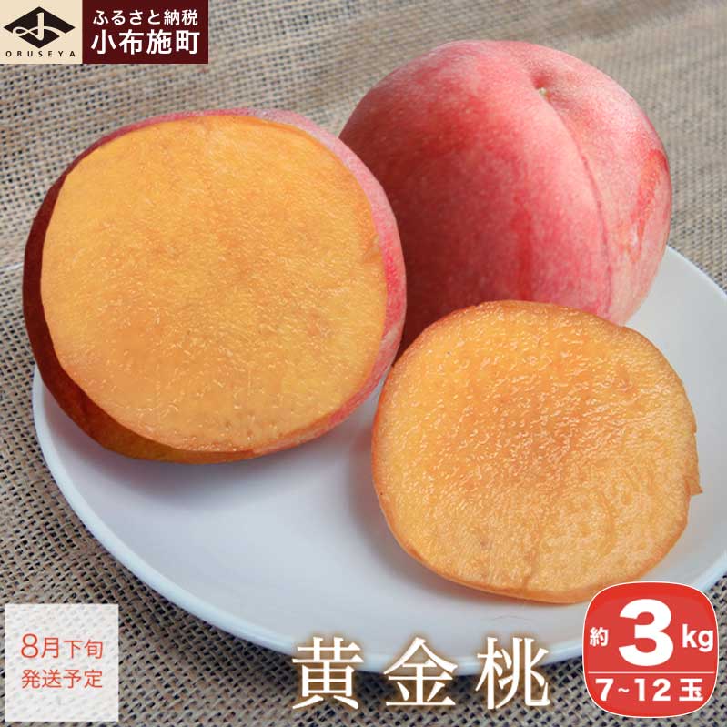 【ふるさと納税】＜先行予約＞ もも 黄金桃 約3kg 7～12玉 ［小布施屋］ 桃 もも モモ フルーツ 果物 長野県産 信州産 冷蔵便 クール便 産地直送 数量限定 令和7年産【2025年8月下旬発送】