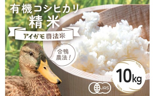 【令和7年産】有機 コシヒカリ 精米 10kg 有機栽培 有機米 特別栽培米 合鴨農法 こしひかり お米 白米 米 おこめ ブランド米 こしひかり 10キロ 国産 単一原料米 コメ こめ ご飯 銘柄米 茨城県産 茨城 産直 産地直送 農家直送 ごはん 家庭用 贈答用 茨城県 石岡市 (B03-002)