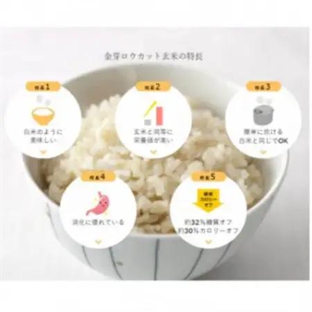 【毎月定期便】金芽ロウカット玄米4kg(2kg×2袋)ふっくら柔らかい美味しさ!全4回【4076257】