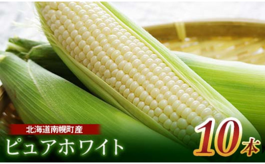 《令和6年発送 先行予約》北海道産 とうもろこし ピュアホワイト10本 朝採り 生食 産地直送 数量限定 期間限定 NP1-175