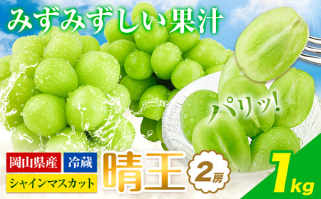 【2026年発送】シャインマスカット 晴王  1kg  【配送不可地域あり】