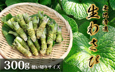 岩手県産 生わさび 使い切りサイズ 300g 【安比清流山葵園】 ／ 山葵 ワサビ わさび 薬味 国産 八幡平市産 産地直送 新鮮 調味料 刺身 蕎麦 和え物 漬け物 刻み おろし 辛味 お寿司 そば 肉の薬味 魚の薬味 そばの薬味