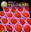 【ふるさと納税】川南町産いちご「やよいひめ」計800g - 先行予約 期間限定 果物 イチゴ 苺 フルーツ D09801