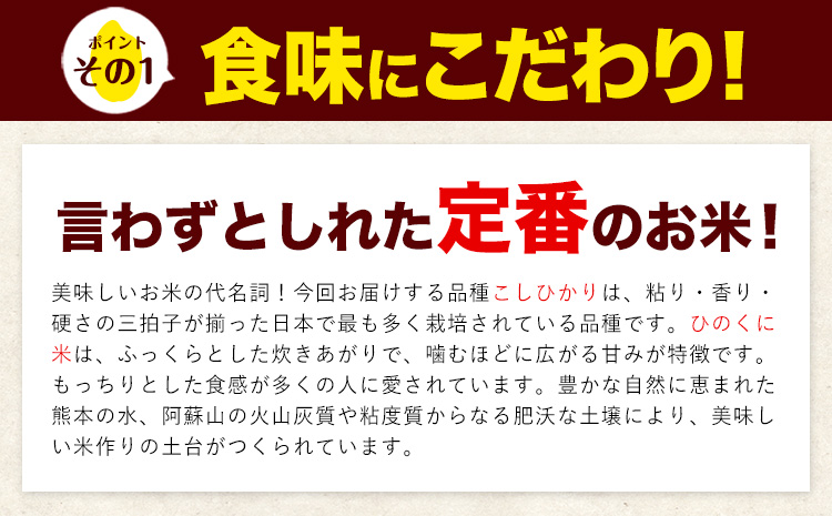 【6ヶ月定期便】 白米 ひのくに米 15kg 《お申込み月の翌月から出荷開始》 食品 米 こめ コメ 熊本県産 ふるさと納税 お米 おこめ 熊本---ubuyamatei_lcl_171_mo6num