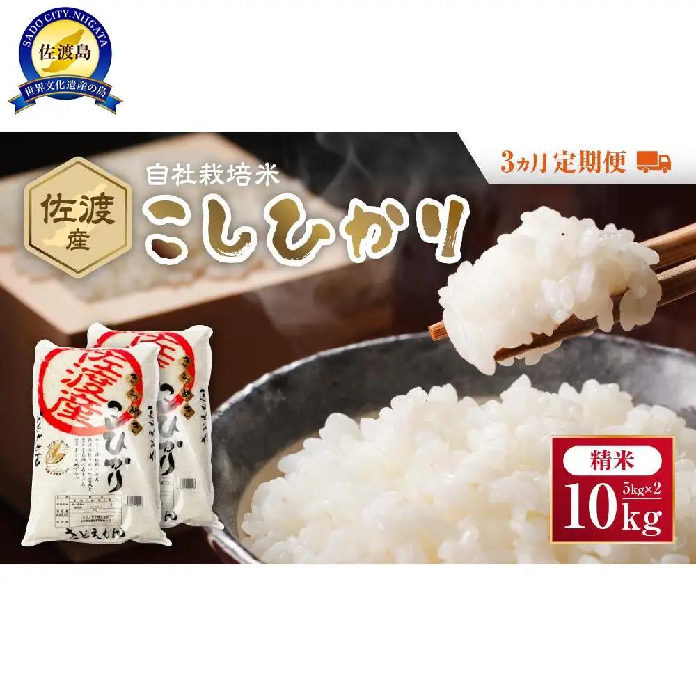 自社栽培米佐渡産こしひかり（精米10kg）3カ月定期便