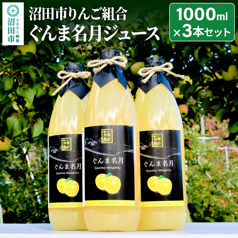 【ふるさと納税】《2026年1月中旬以降発送》沼田市りんご組合 ぐんま名月ジュース（ストレート）1000ml×3本セット