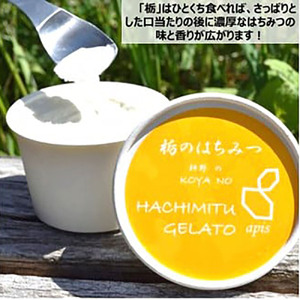 ミルクと「こだわりハチミツ」のハーモニー！国産純粋はちみつ「耕野のはちみつ」ジェラート2種8個セット【21103】