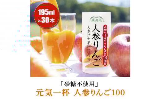 砂糖不使用 人参りんご 195g×30本 順造選｜無添加 無塩 健康 にんじん リンゴ ジュース ドリンク カロテン 長期保存 [0283ch]