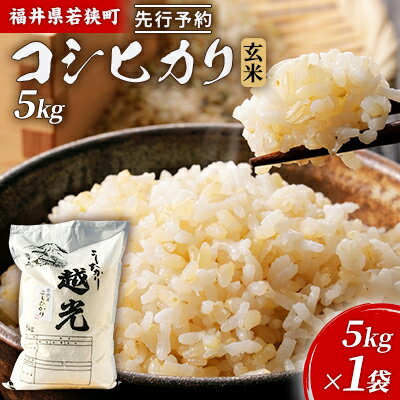 【ふるさと納税】令和6年産福井県若狭町コシヒカリ（一等米）玄米　5kg（神谷農園） 5kg×1袋 お米 ブランド米 銘柄米 ご飯 おにぎり お弁当 産地直送 和食 主食 　お届け：2026年10月以降発送
