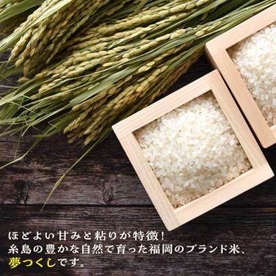 ふるさと納税 糸島市 糸島産 夢つくし 5kg 糸島市/三島商店[AIM001] |  | 02