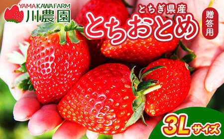 とちおとめ 320g×2パック 3Lサイズ ｜ いちご 苺 イチゴ 贈答 フルーツ 果物 国産 平積み いちご いちご いちご※2026年1月中旬頃より順次発送予定