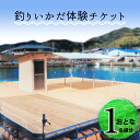 【ふるさと納税】 釣り 釣りいかだ1日ご利用券 徳島 海陽町 浅川 魚釣り 体験