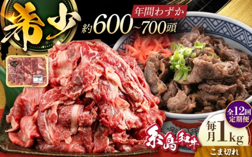 【全12回定期便】希少和牛！糸島和牛 こまぎれ 1kg 糸島市 / トラヤミートセンター 牛肉 黒毛和牛 [AJD020]