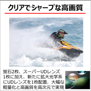 キヤノン Canon 望遠レンズ RF800mm F5.6 L IS USM