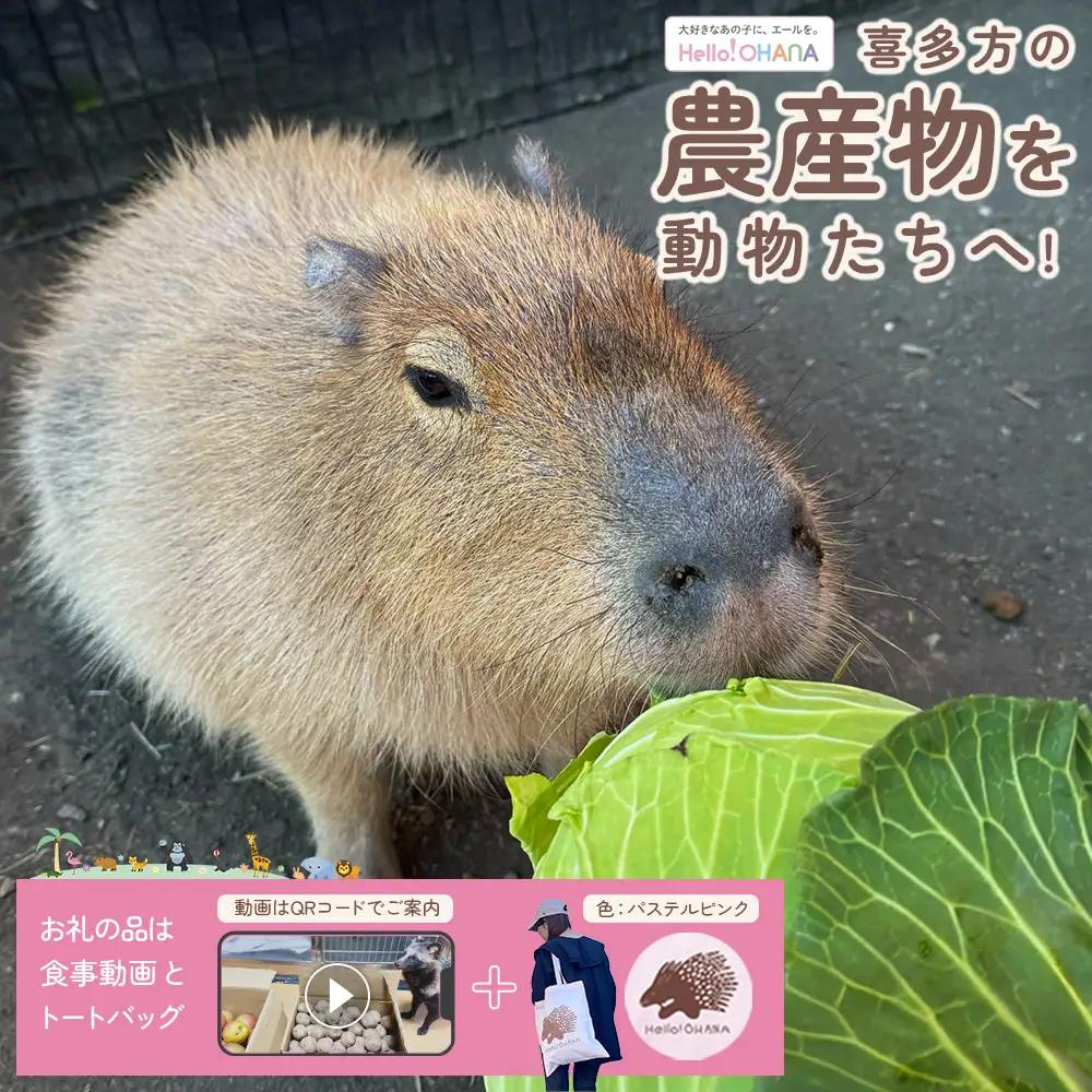【動物推し活サービス】全国の動物たちに"喜多方の農産品"をプレゼント！〜動物デザインの「食事動画」「トートバッグ」が付いてきます〜　[カラー:パステルピンク]　【07208-0729-B】