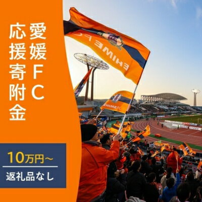【ふるさと納税】愛媛FCへの支援に活用させていただきます！【返礼品なし】愛媛FCへのご寄付 100,000円