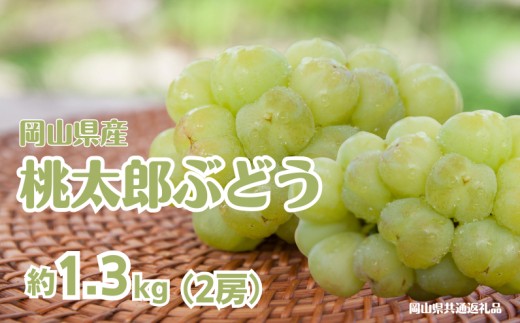 桃太郎ぶどう 2房 計約1.3kg 【先行予約 2026年8月下旬から順次発送】