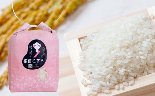 備前乙女米 白米 2kg×2袋 計約4kg 【2026年9月下旬迄発送予定】 ／ お米 米 おこめ こめ コメ ご飯 精米 ライス モチモチ 石原果樹園 岡山県 美咲町