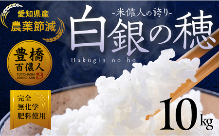 令和8年産 白銀の穂 10kg お米 お米