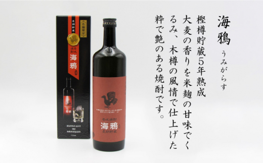 【全12回 定期便 】麦焼酎 海鴉 25度 720ml 2本入りセット 《 壱岐市 》【天下御免】[JDB112] 180000 180000円