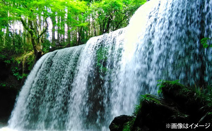 いろはす 540ml 24本 1ケース ケース 阿蘇 熊本 菊陽 くまもと あそ 水分補給 国産水 天然水 非常用 備蓄用