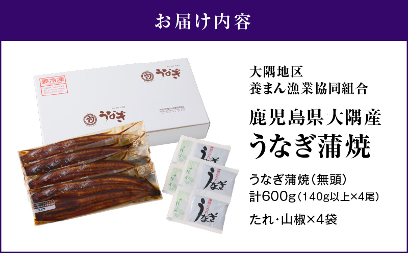 7月31日まで！鹿児島県大隅産うなぎ蒲焼4尾（600g）　KN007-004-04