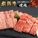 【ふるさと納税】 飛騨牛 牛肉 焼肉 赤身 霜降り 食べ比べ 1kg ( 500g×2種) A4等級以上バーベキュー BBQ のし対応 お祝い ギフトに 飛騨 牛 国産 和牛 黒毛 贈答 ご褒美 誕生日 記念日 ご当地 取り寄せ 40000円 [S452]