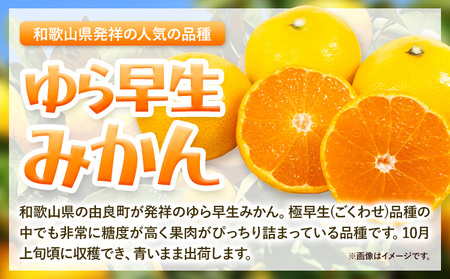 みかん ゆら早生みかん ご家庭用 5kg サイズ混合 GOGO農園《10月上旬-11月末頃出荷》 和歌山県 日高川町 ゆら早生みかん みかん 早生 柑橘 蜜柑 フルーツ 送料無料