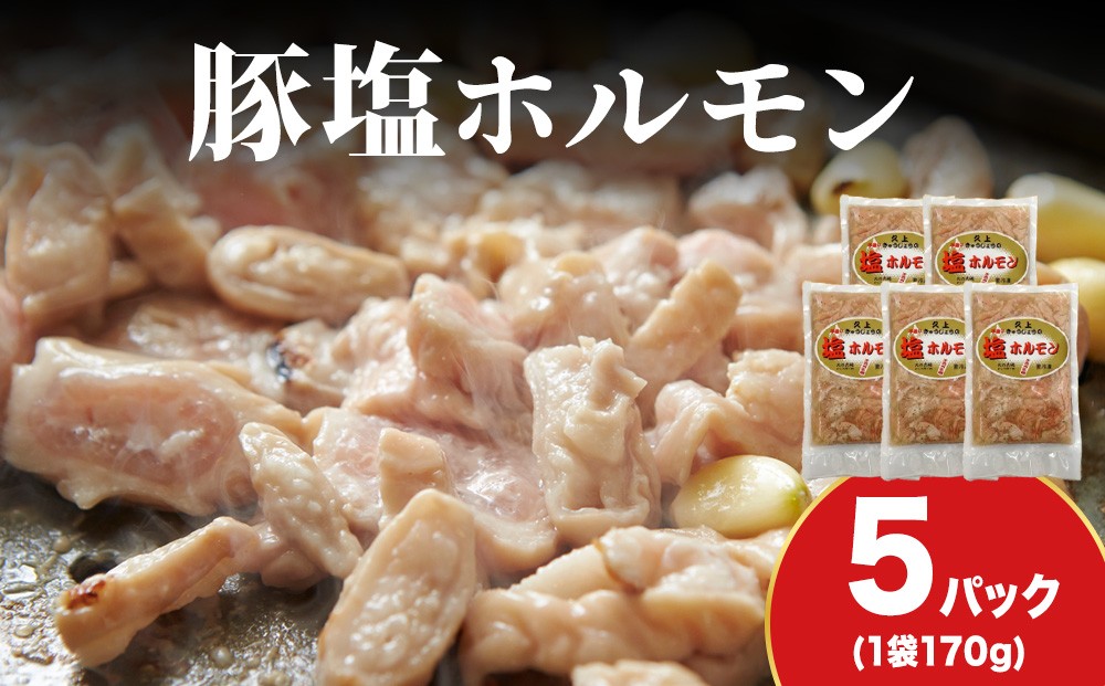 
            【久上 工藤商店】味付け豚ホルモン（塩）170g　5袋セット
          