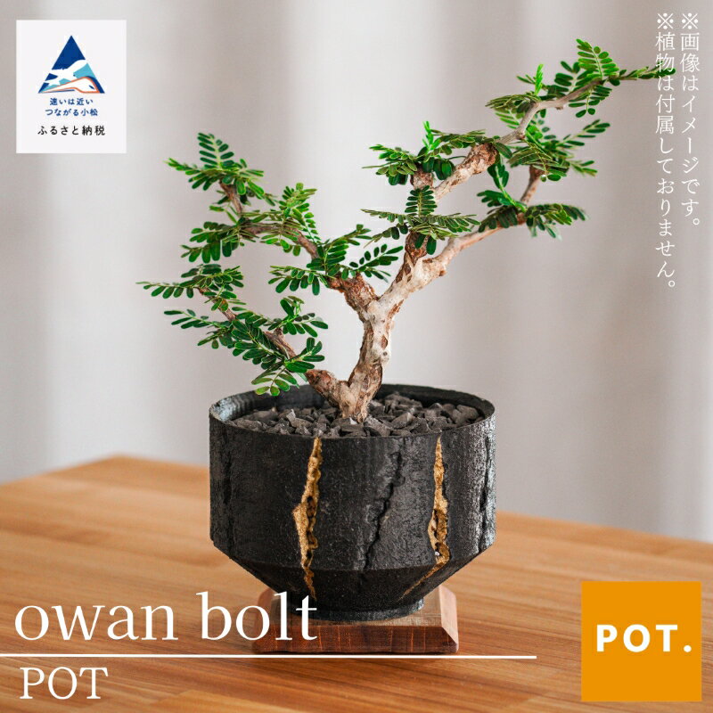 【ふるさと納税】owan bolt POT ポット 植物 容器 ガーデニング 植木鉢 フラワーポット インテリア 人気 ランキング インテリア ギフト おすすめ ギフト 小松市 こまつ 石川県 ふるさと 故郷 納税 012075【POT】