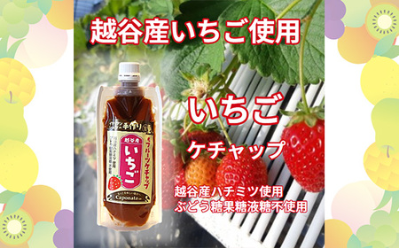 No.247 【フルーツケチャップ】苺、メロン、みかんの3種類セットレシピ付き