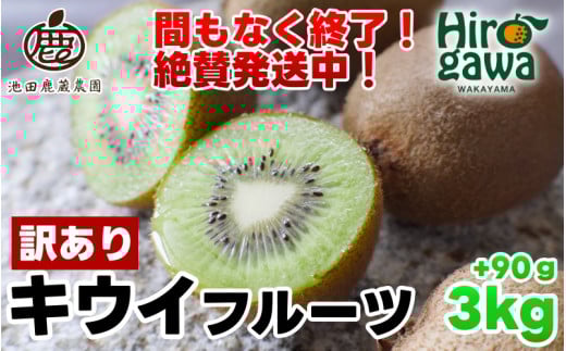 キウイ 家庭用 3kg+90g（傷み補償分） / キウイフルーツ 訳あり 訳アリ わけあり ヘルシー ダイエット フルーツ 果物 和歌山 すぐ届く  ※11月中旬～6月中旬に順次発送 ※北海道・沖縄・離島への配送不可【ikd505-c-3A】
