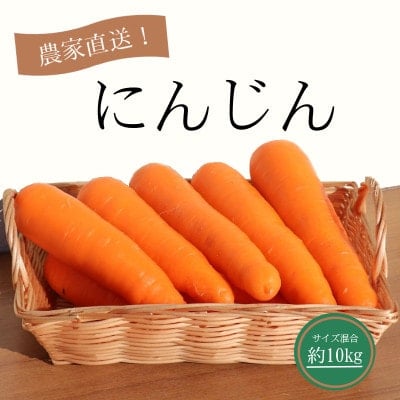 
            にんじん約10kg【1478444】
          