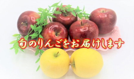 予約受付 8月上旬～発送予定【品種おまかせ】りんご 約 4.5kg セット りんご 果物 フルーツ おやつ お土産 お歳暮 お中元 お祝い 子供 ファミリー 家庭 金成園 岩手県 北上市 C0063