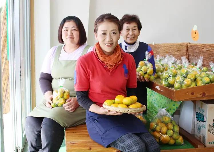 成田果樹園の温州みかん 3kg（ご家庭用）［1816］