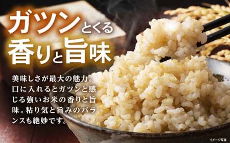 米 コシヒカリ JASオーガニック 30kg [AQBL011]玄米