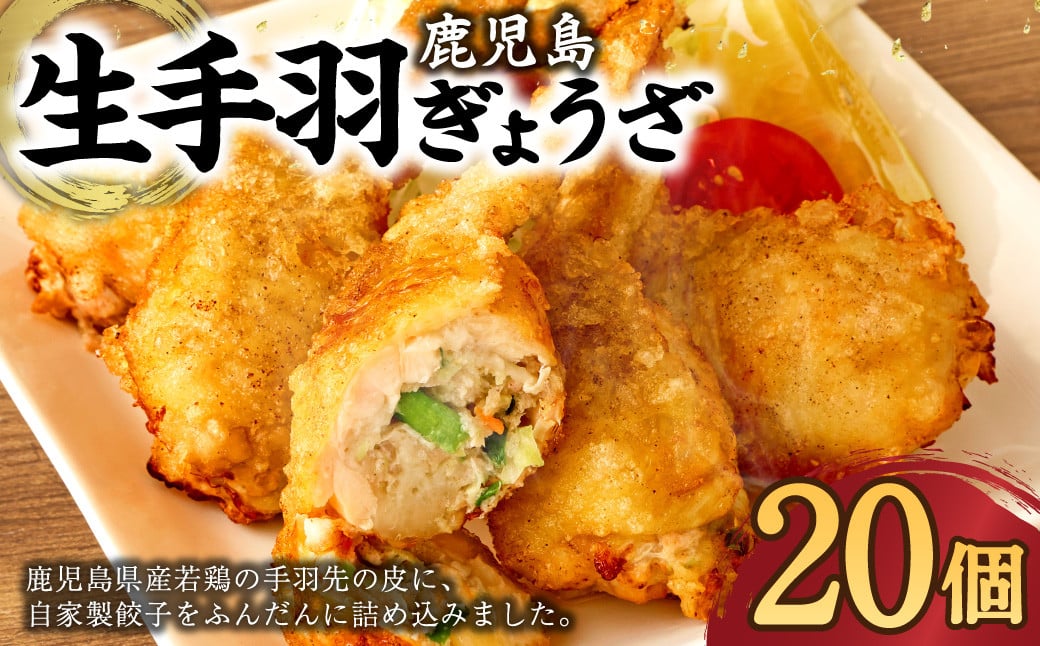 鹿児島生 手羽ぎょうざ (20本) 餃子のタレ付き ASR-713