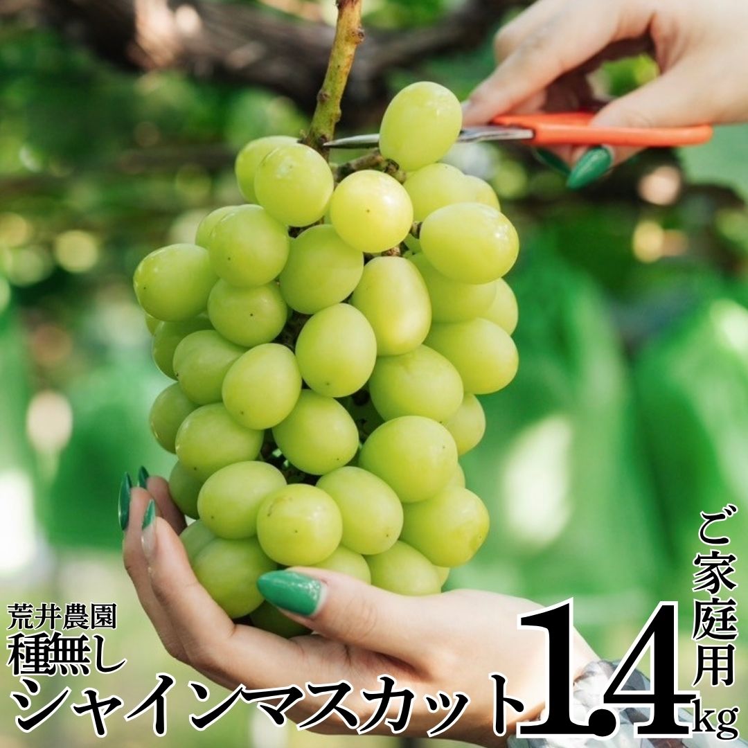 【ふるさと納税】■荒井農園■種無しシャインマスカット1.4kg〔ご家庭用〕