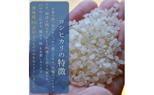 【3ヵ月定期便】八ヶ岳たすき米 コシヒカリ 10kg×1袋　米 白米 精米 ブランド米 おむすび お弁当 仕送りギフト ごはん 国産