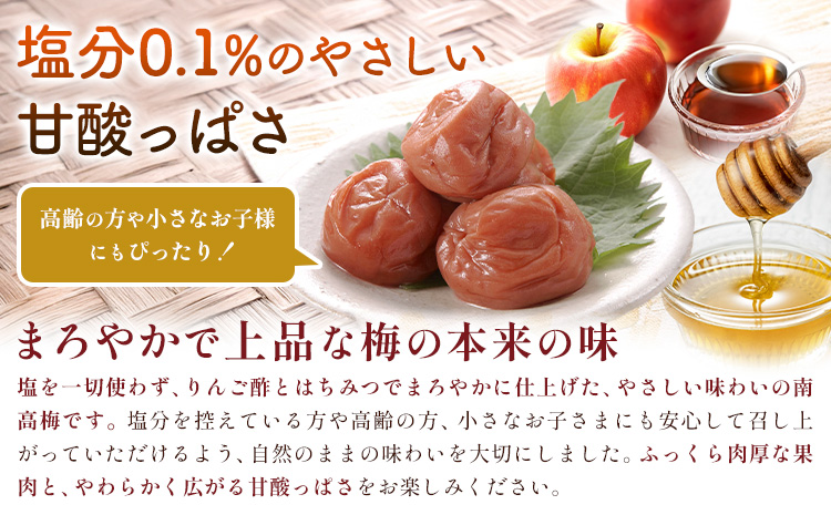 塩零梅 梅干し 紀州南高梅 食塩不使用 有限会社プラム 600g 《30日以内に出荷予定(土日祝除く)》和歌山県 日高町 送料無料 梅 うめ ウメ 南高梅 紀州 