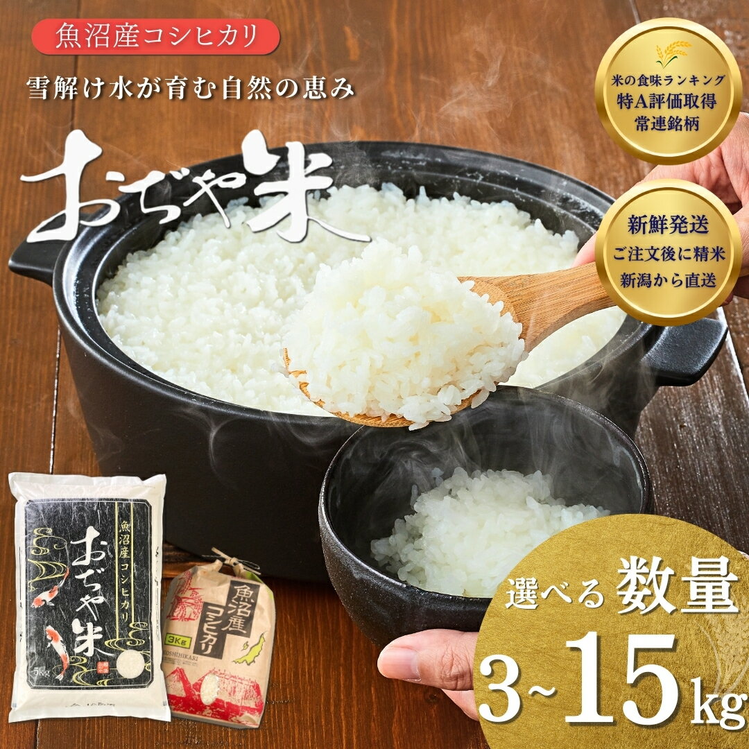 【ふるさと納税】 新潟県 コシヒカリ 特Aランク 米 令和7年産 魚沼産コシヒカリ 選べる容量 3kg 5kg 10kg 15kg 新潟産コシヒカリ おぢや米 お米 こしひかり 白米 精米 ブランド米 鮮度抜群 JA魚沼 新潟 小千谷